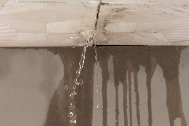 Professional Structural Drying technician working in Round Hill, VA
